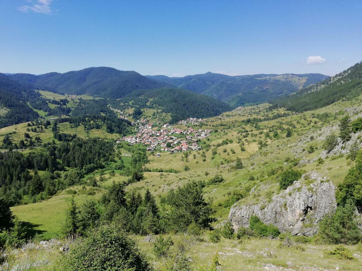 Къща За Гости Романс Jagodina Kültér fotó